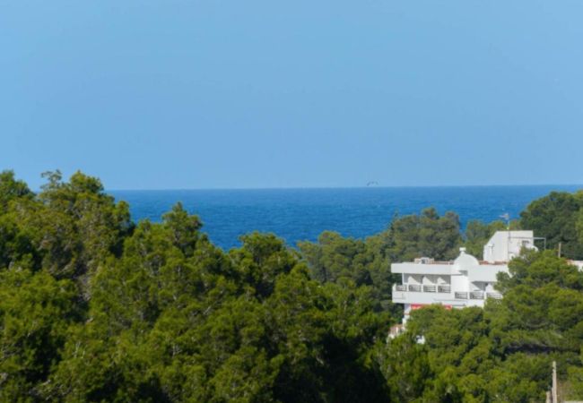 Villa en Sant Joan de Labritja / San Juan - VILLA CAS PUIG