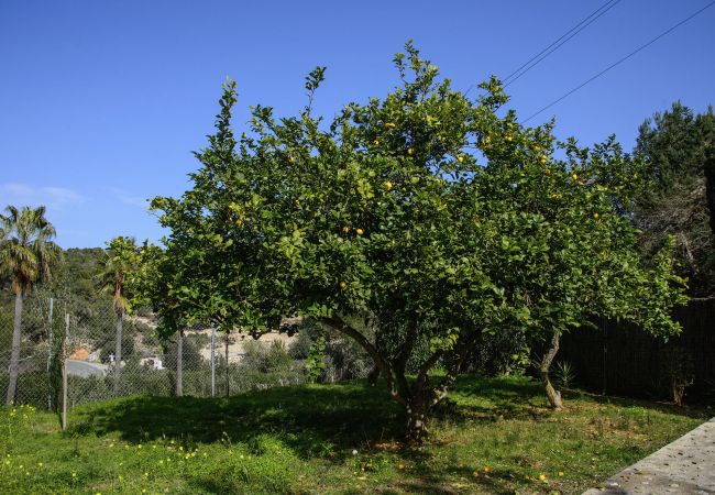 Villa en Sant Joan de Labritja / San Juan - VILLA CAS PUIG